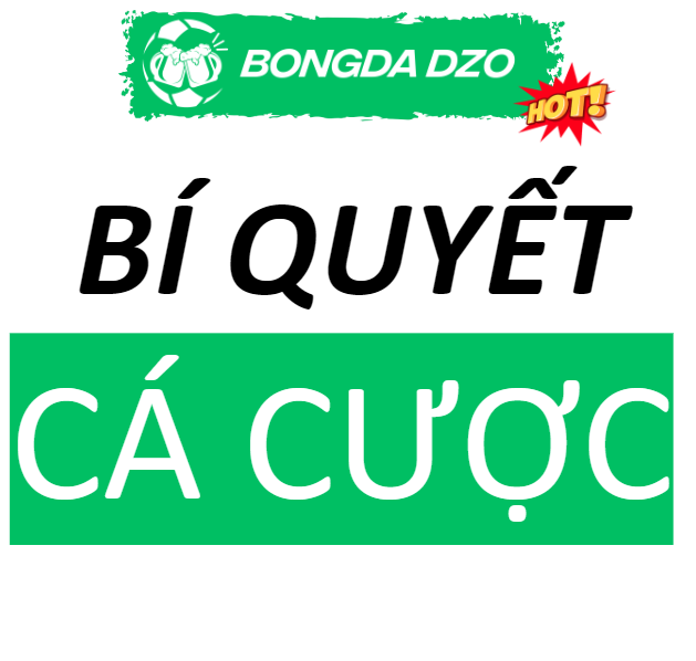 Bí Quyết Cá Cược Bóng Đá Hiệu Quả Từ Cao Thủ Cá Độ